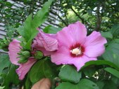 Enlarge photo 124