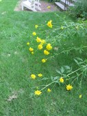 Enlarge photo 130