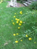 Enlarge photo 131