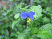Enlarge photo 139