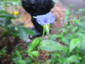 Enlarge photo 140