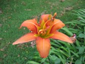 Enlarge photo 144