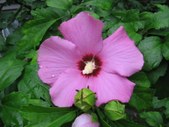 Enlarge photo 145
