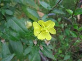 Enlarge photo 146