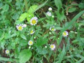 Enlarge photo 149