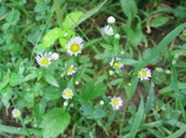 Enlarge photo 202