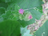 Enlarge photo 204