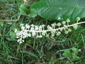 Enlarge photo 207