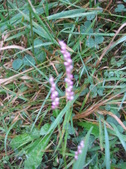 Enlarge photo 209