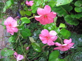 Enlarge photo 157