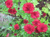 Enlarge photo 158