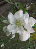 Enlarge photo 172