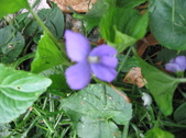 Enlarge photo 173