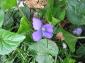 Enlarge photo 174