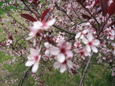 Enlarge photo 175