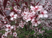 Enlarge photo 176