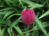 Enlarge photo 178