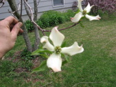 Enlarge photo 180