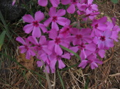 Enlarge photo 182