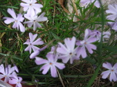 Enlarge photo 183