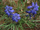 Enlarge photo 184