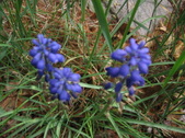 Enlarge photo 186