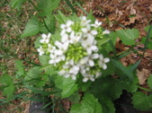 Enlarge photo 188