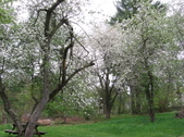 Enlarge photo 190