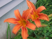Enlarge photo 218