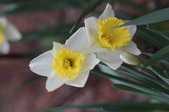Enlarge photo 484