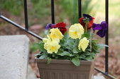 Enlarge photo 491