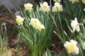 Enlarge photo 492