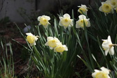 Enlarge photo 493