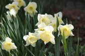 Enlarge photo 495