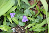 Enlarge photo 497