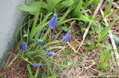 Enlarge photo 502