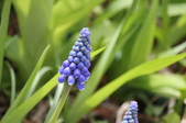 Enlarge photo 503