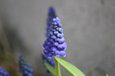 Enlarge photo 504