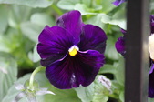 Enlarge photo 506
