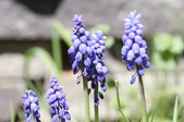 Enlarge photo 512