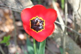 Enlarge photo 530