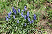Enlarge photo 534