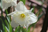Enlarge photo 536