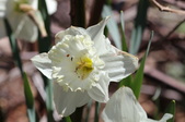 Enlarge photo 537