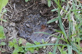 Enlarge photo 538