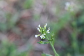 Enlarge photo 539