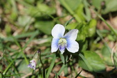 Enlarge photo 541