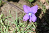 Enlarge photo 542