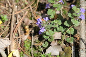 Enlarge photo 547