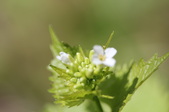 Enlarge photo 553